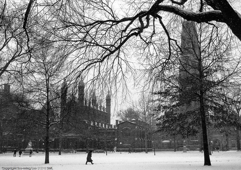 Un campus en la nieve.