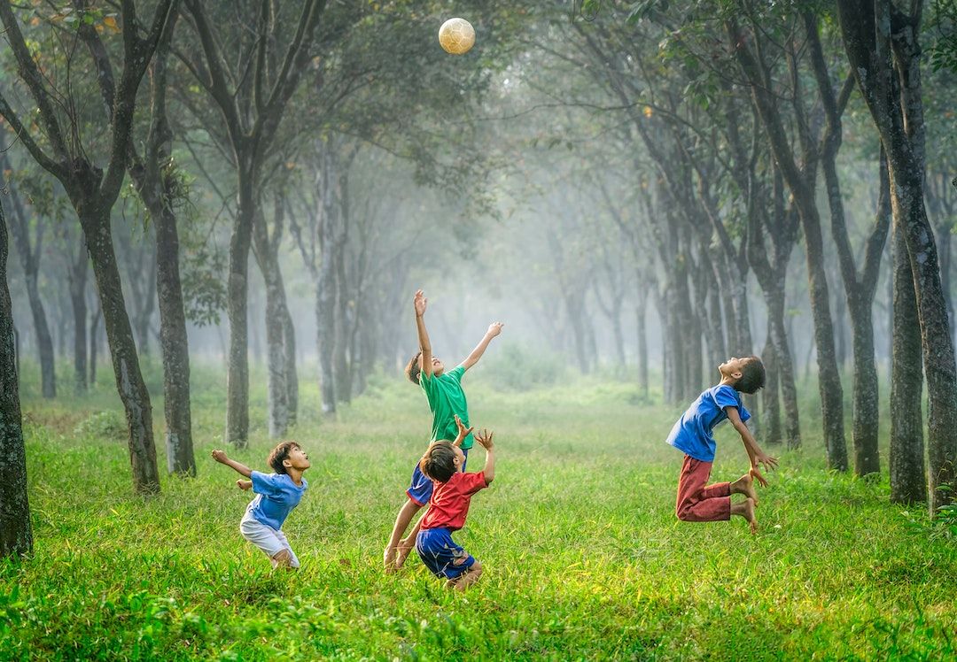 Niños jugando afuera en el bosque.